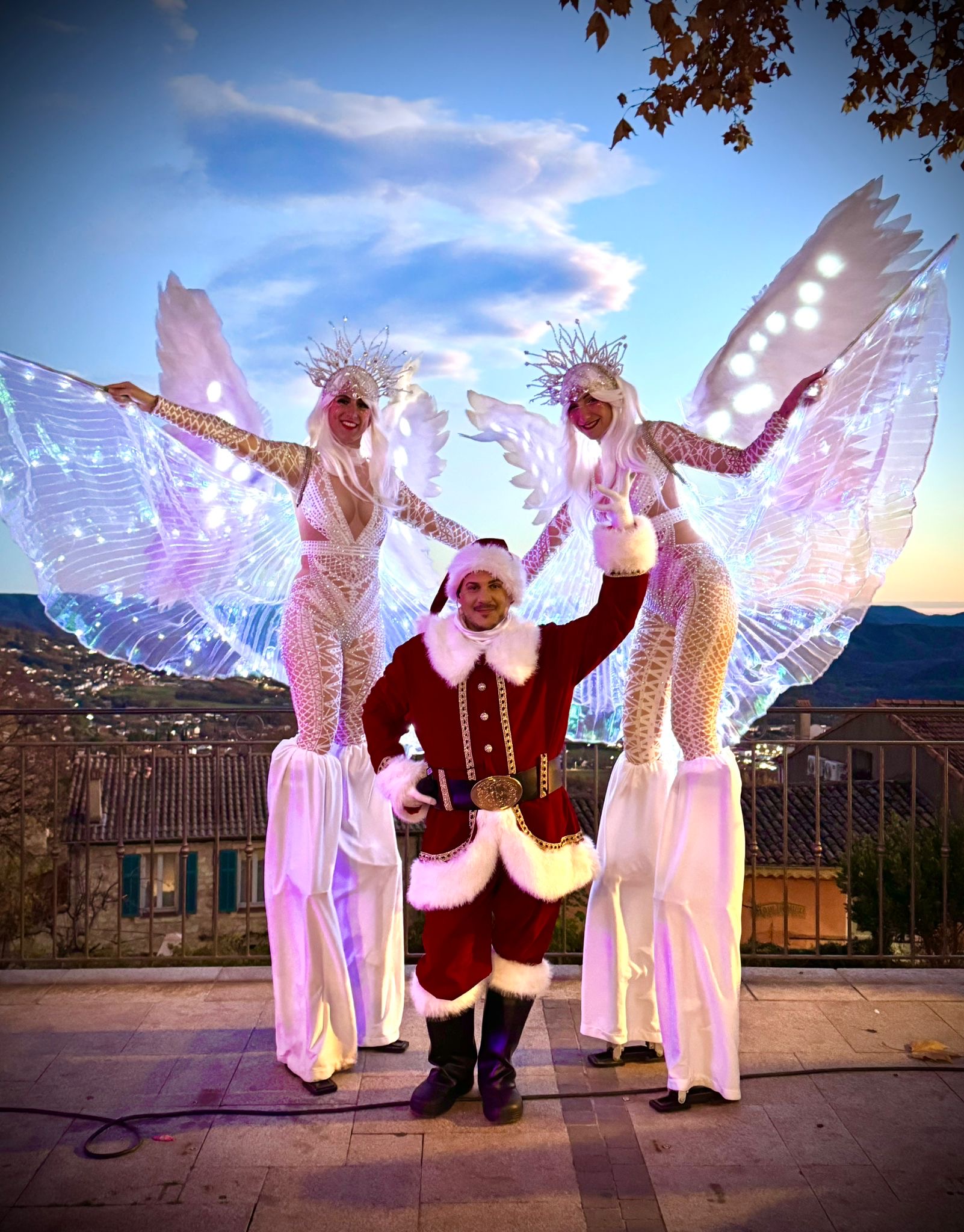 ILLUMINATION DU SAPIN DE NOËL